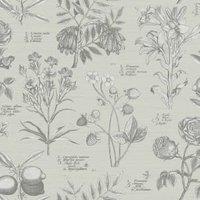 RHS Botanical Sketchbook Cream Wallpaper