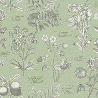 RHS Botanical Sketchbook Sage Wallpaper