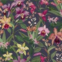 RHS Orchid Botanical Purple Wallpaper