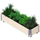 Upyard Natural Long Herb Box - 1200 x 400 x 280mm