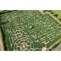PRICE DROP! Explore the Spooky Maize Maze at Oscar's Thrilling Pumpkin Patch - Costock