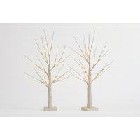 Set of 2 Pre-Lit LED Birch Twig Trees - 60cm