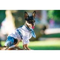 Pets Clothes & Crafts Course