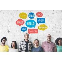 Master 5 Languages Online Course With Certificate
