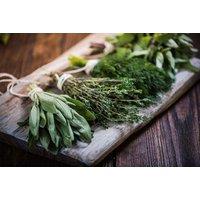 Master Herbalist Online Diploma Course with Certification