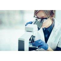 Forensic Science Online Diploma Course with CPD Certification
