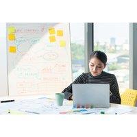 Comprehensive Online Marketing Course Bundle with Certification