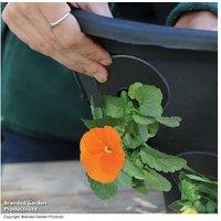 Bloomaround Hanging Baskets - 30cm, Easy Planting