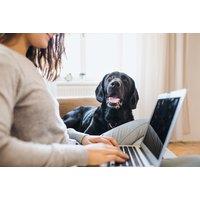 Online Animal Psychology Course