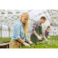 Online Horticulture & Organic Gardening Course