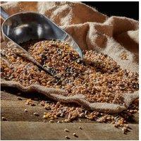 All-Season Songbird-Friendly Bird Food Mix - Nutrient-Rich, Wildlife-Supporting Seed Blend