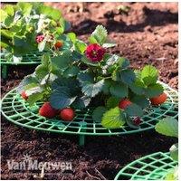 Strawberry Plant Support Frames - Weatherproof, Easy-Assembly, 30cm Diameter (Up to 10 Pack)
