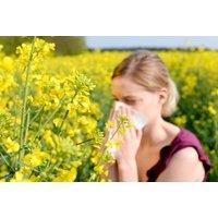 Online Buteyko Breathing Course: Allergens, Hayfever & Certification