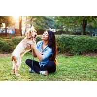 Online Animal Healing & Communication Diploma Course