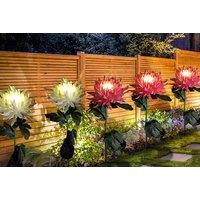 Solar Flower Garden Stake Lights - 3 Colours - 2 Packs!