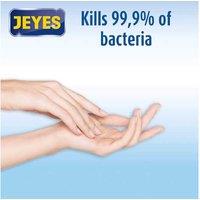 Jeyes Refreshing Hand Sanitiser - 480ml