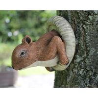 Charming Novelty Red Squirrel Tree Peeker Garden Ornament