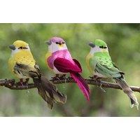 12Pc Realistic Bird Garden Ornaments - Outdoor Decor