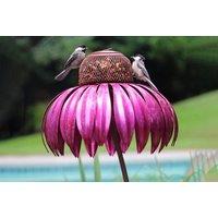 Coneflower Bird Feeder - 2 Colours