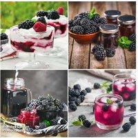 Blackberry Growers Choice Hardy Fruit Shrub - Large, Productive Plants