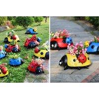 Mini Ladybird Planters - 2 Sets & 3 Colours!