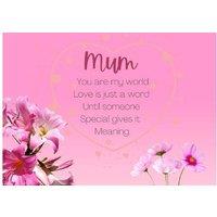 Elegant Freshwater Pearl Jewellery Set - Necklace & Earrings, Rhodium-Plated, Adjustable Chain, Gift Boxed