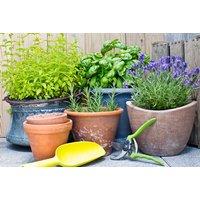 Autumn Garden Container Workshop - Flower School