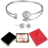 Silver Bangle And Earrings Set - Xmasbox