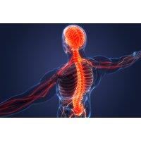 Comprehensive Sports Therapy Assessment & Treatment - Warwick