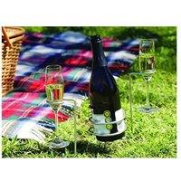 Garden Wine Bottle & Glass Set - Outdoor Picnic & Family Leisure Essential, Stainless Steel Holders