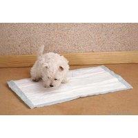 Puppy Training Pads - Pack of 30