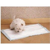 20 Puppy Training Pad