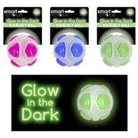 Glow In The Dark Squeaky Ball