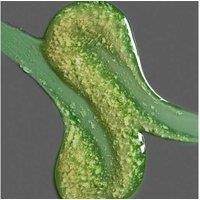 Dove Men+Care Sport Active & Free Body Wash 400ml - Dove