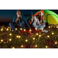 Star Swaying Solar Powered Garden Lights - Pack Of 2!