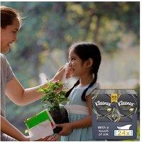 Kleenex Extra Large Eco-Friendly Facial Tissues - Soft & Strong, 24 Box Value Pack