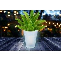 Solar Power White Light Up Flower Pot - Round Or Square