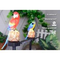 Solar Powered Parrot Garden Light Ornament - 3 Colours