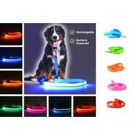 Light Up Led Pet Leash - Battery Or Rechargeable