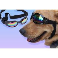 Cool Novelty Pet Sunglasses - 6 Colours!