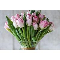 50% Discount Voucher for Tulip Bouquets