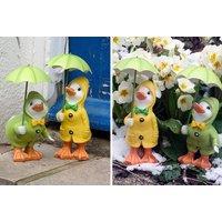 Raincoat Duck Garden Statues - 2 Colours