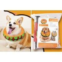 Inflatable Post-Surgery Pet Protective Collar - 4 Sizes