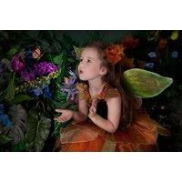 Fairy & Elf Photoshoot and Print - Xposure Studios