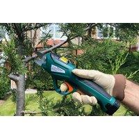 Eckman 2-In-1 Cordless Pruner With Telescopic Pole