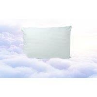Ultrabounce Pillows With Cotton Stripe Case - 2 Pack!