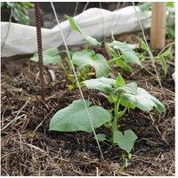 Strulch Garden Mulch - Eco-Friendly, 100L Bags