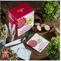 Stunning Succulents Growing Kit