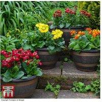Wooden Barrel Effect Garden Pots with Saucers - 40cm Planter