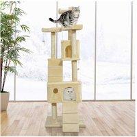 Activity Centre, Kitten Tree